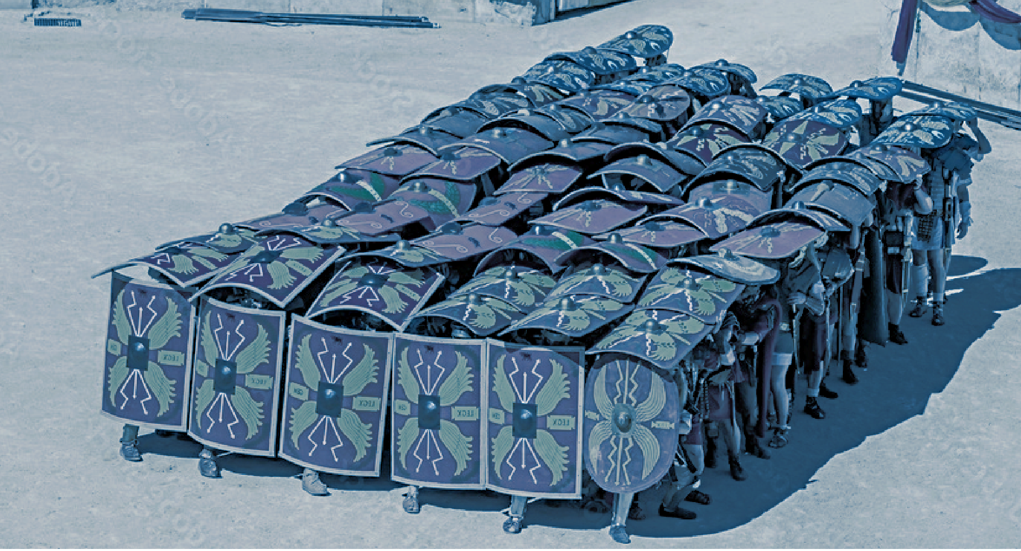 turtle roman defense blue